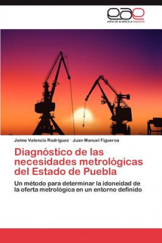 Book Diagnostico de Las Necesidades Metrologicas del Estado de Puebla Jaime Valencia Rodríguez