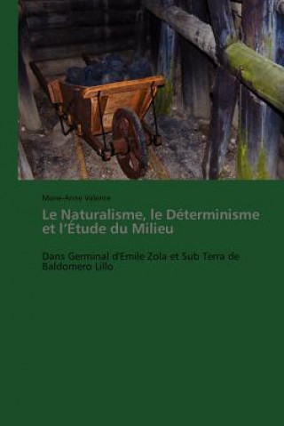 Könyv Le Naturalisme, Le Determinisme Et L Etude Du Milieu Marie-Anne Valente