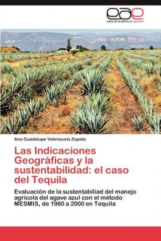 Kniha Indicaciones Geograficas y la sustentabilidad Ana Guadalupe Valenzuela Zapata