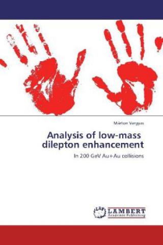 Könyv Analysis of low-mass dilepton enhancement Márton Vargyas
