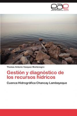 Carte Gestion y diagnostico de los recursos hidricos Thomas Antonio Vasquez Montenegro
