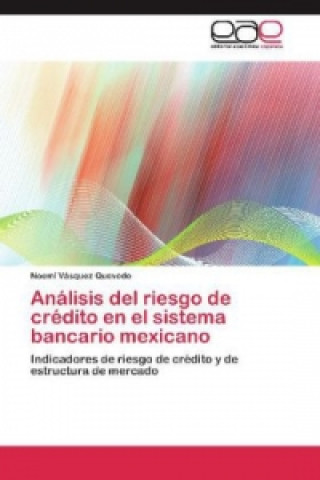 Книга Analisis del riesgo de credito en el sistema bancario mexicano Noemí Vásquez Quevedo