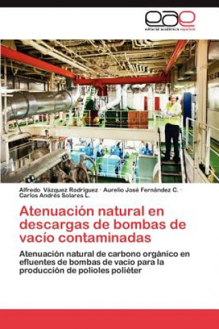 Книга Atenuacion Natural En Descargas de Bombas de Vacio Contaminadas Alfredo Vázquez Rodríguez