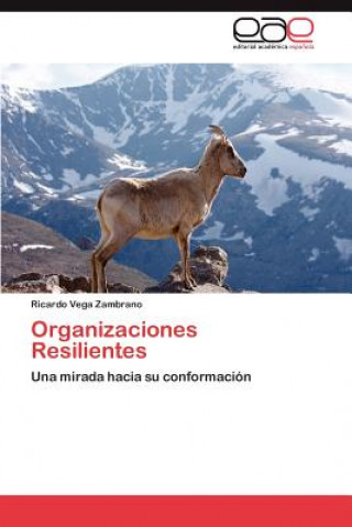 Kniha Organizaciones Resilientes Ricardo Vega Zambrano