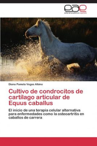 Könyv Cultivo de condrocitos de cartilago articular de Equus caballus Diana Pamela Vegas Albino