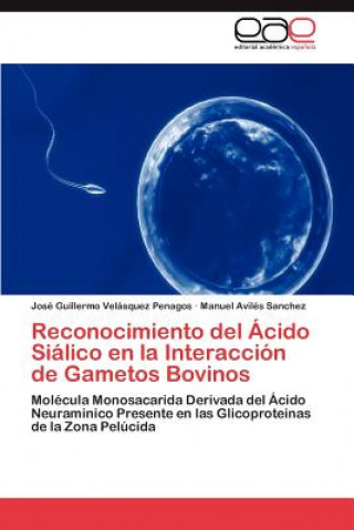 Carte Reconocimiento del Acido Sialico en la Interaccion de Gametos Bovinos Velasquez Penagos Jose Guillermo