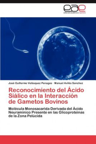 Книга Reconocimiento del Acido Sialico en la Interaccion de Gametos Bovinos Velasquez Penagos Jose Guillermo