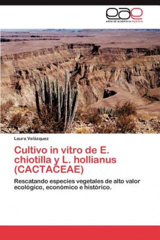 Książka Cultivo in Vitro de E. Chiotilla y L. Hollianus (Cactaceae) Laura Velázquez