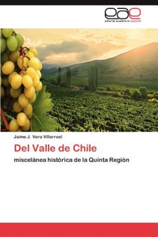 Könyv Del Valle de Chile Jaime J. Vera Villarroel