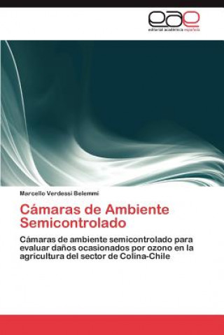 Livre Camaras de Ambiente Semicontrolado Marcello Verdessi Belemmi