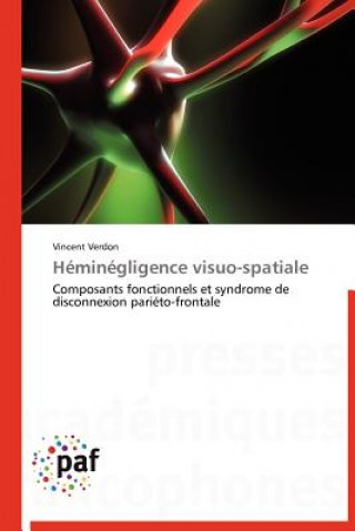 Buch Heminegligence Visuo-Spatiale Vincent Verdon