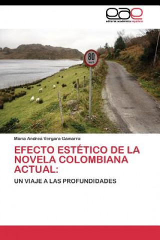 Książka Efecto estetico de la novela colombiana actual Maria Andrea Vergara Gamarra