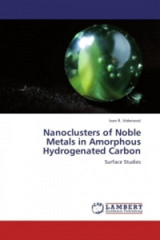 Buch Nanoclusters of Noble Metals in Amorphous Hydrogenated Carbon Ivan R. Videnovi