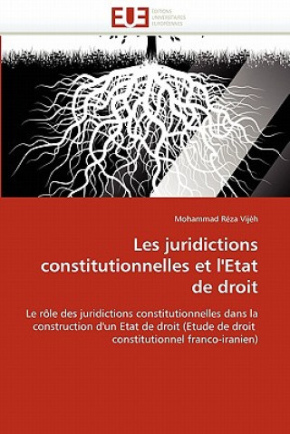 Kniha Les Juridictions Constitutionnelles Et l''etat de Droit Reza Vijeh-M