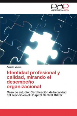 Könyv Identidad profesional y calidad, mirando el desempeno organizacional Agustín Vilchis