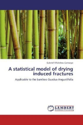Kniha A statistical model of drying induced fractures Gabriel Villalobos Camargo