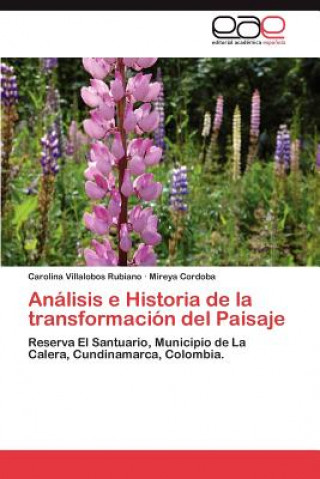 Kniha Analisis e Historia de la transformacion del Paisaje Carolina Villalobos Rubiano