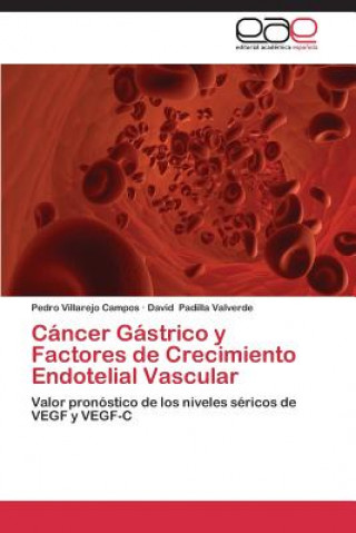 Kniha Cancer Gastrico y Factores de Crecimiento Endotelial Vascular Pedro Villarejo Campos
