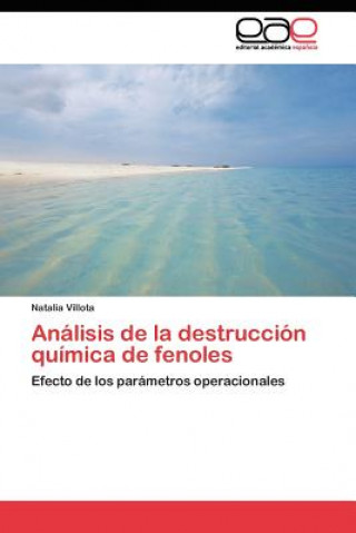 Buch Analisis de la destruccion quimica de fenoles Villota Natalia