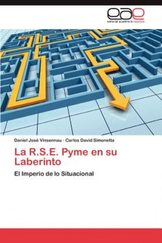 Boek R.S.E. Pyme En Su Laberinto Daniel José Vinsennau