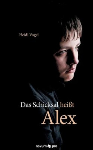 Könyv Das Schicksal heisst Alex Heidi Vogel