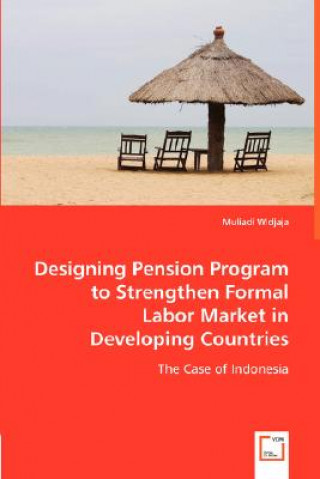 Könyv Designing Pension Program to Strengthen Formal Labor Market in Developing Countries Muliadi Widjaja