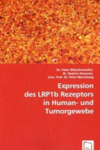 Carte Expression des LRP1b Rezeptors in Human- und Tumorgewebe Peter Widschwendter