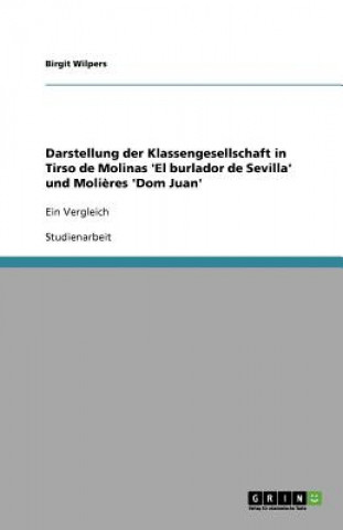 Boek Darstellung der Klassengesellschaft in Tirso de Molinas 'El burlador de Sevilla' und Molieres 'Dom Juan' Birgit Wilpers