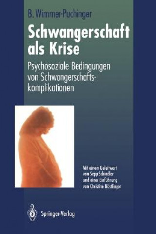 Książka Schwangerschaft als Krise Beate Wimmer-Puchinger