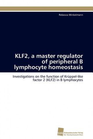 Kniha KLF2, a master regulator of peripheral B lymphocyte homeostasis Rebecca Winkelmann