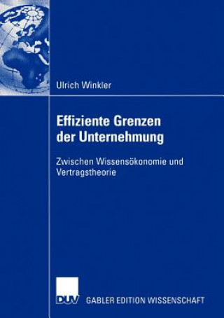 Kniha Effiziente Grenzen der Unternehmung Ulrich Winkler