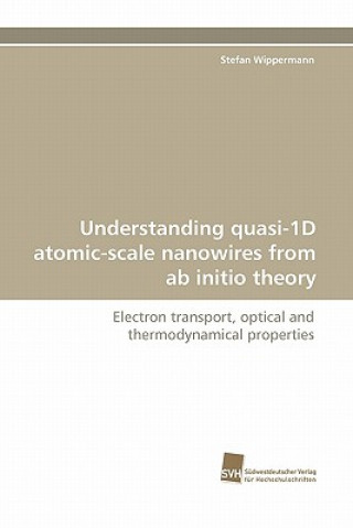 Kniha Understanding Quasi-1d Atomic-Scale Nanowires from AB Initio Theory Stefan Wippermann