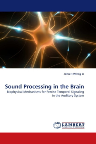 Книга Sound Processing in the Brain John H Wittig Jr