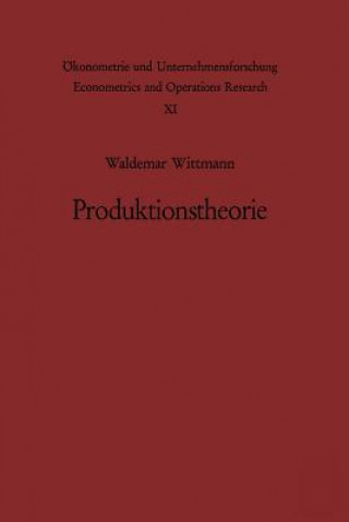 Könyv Produktionstheorie W. Wittmann