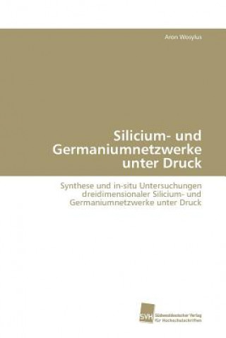 Könyv Silicium- und Germaniumnetzwerke unter Druck Wosylus Aron