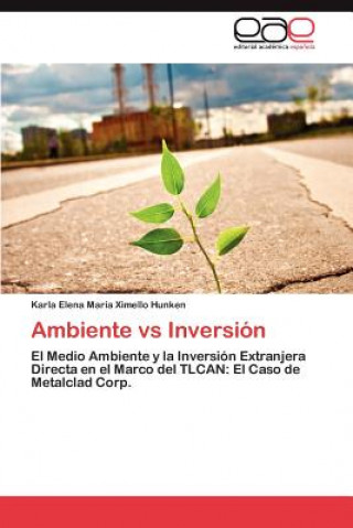 Könyv Ambiente vs Inversion Karla Elena María Ximello Hunken