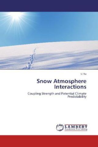 Книга Snow Atmosphere Interactions Li Xu