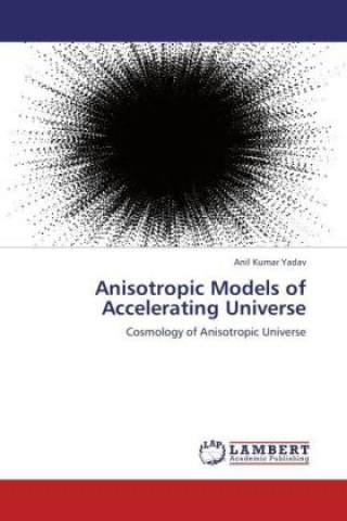 Książka Anisotropic Models of Accelerating Universe Anil Kumar Yadav