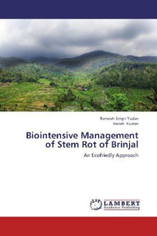 Buch Biointensive Management of Stem Rot of Brinjal Ramesh Singh Yadav