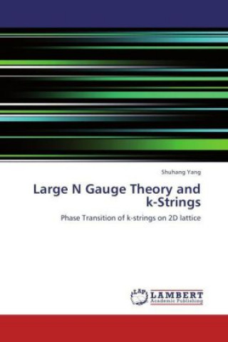 Książka Large N Gauge Theory and k-Strings Shuhang Yang