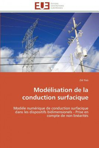 Książka Modelisation de la conduction surfacique Zié Yeo