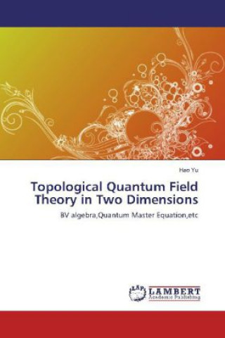 Książka Topological Quantum Field Theory in Two Dimensions Hao Yu