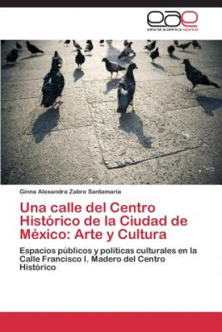 Kniha calle del Centro Historico de la Ciudad de Mexico Ginna Alexandra Zabre Santamaría