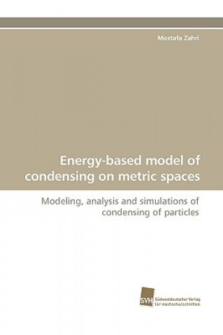 Kniha Energy-Based Model of Condensing on Metric Spaces Mostafa Zahri