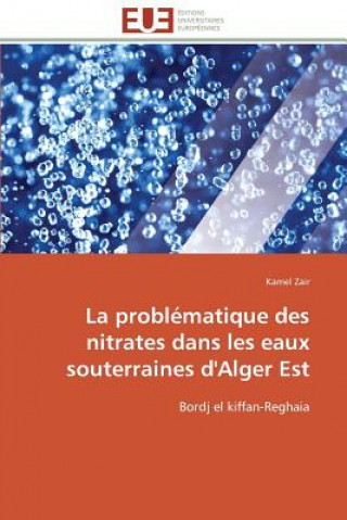 Buch La Probl matique Des Nitrates Dans Les Eaux Souterraines d'Alger Est Kamel Zair