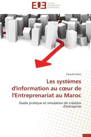 Kniha Les Syst mes d'Information Au C Ur de l'Entreprenariat Au Maroc Youssef Zaitar