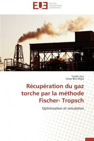 Kniha R cup ration Du Gaz Torche Par La M thode Fischer- Tropsch Toufik Zaiz