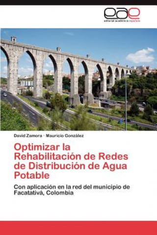 Carte Optimizar La Rehabilitacion de Redes de Distribucion de Agua Potable David Zamora