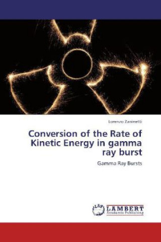 Könyv Conversion of the Rate of Kinetic Energy in gamma ray burst Lorenzo Zaninetti