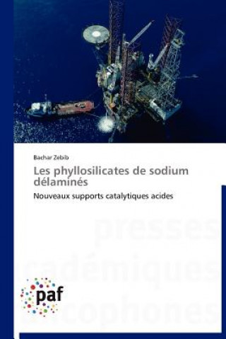 Buch Les Phyllosilicates de Sodium Delamines Bachar Zebib